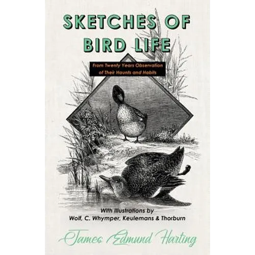 Sketches of Bird Life - From Twenty Years Observation of Their Haunts and Habits - With Illustrations by Wolf, C. Whymper, Keulemans, and Thorburn - Paperback