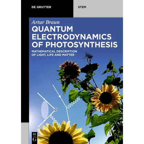 Quantum Electrodynamics of Photosynthesis: Mathematical Description of Light, Life and Matter - Paperback