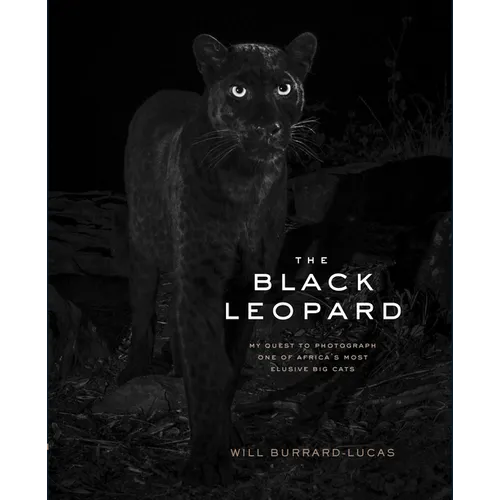 The Black Leopard: My Quest to Photograph One of Africa's Most Elusive Big Cats - Hardcover