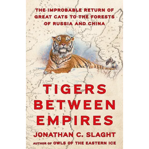 Tigers Between Empires: The Improbable Return of Great Cats to the Forests of Russia and China - Hardcover