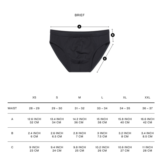 Brief