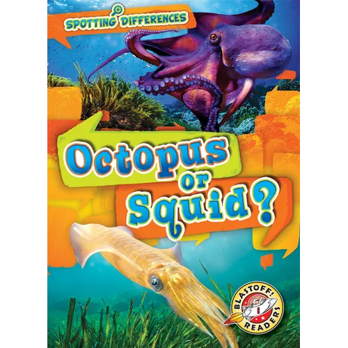Octopus or Squid? - Paperback