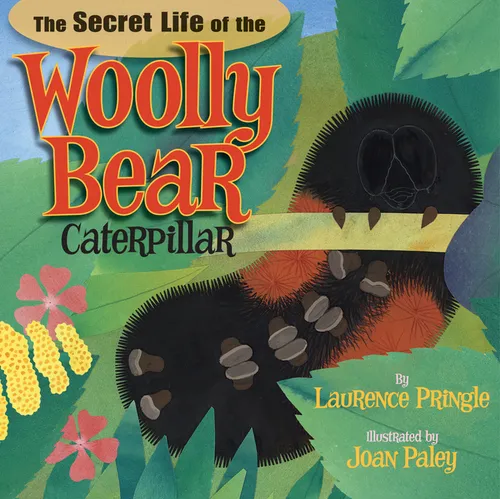 The Secret Life of the Woolly Bear Caterpillar - Hardcover