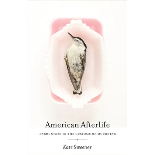 American Afterlife: Encounters in the Customs of Mourning - Paperback