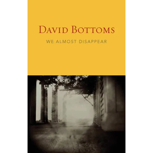 We Almost Disappear - Paperback