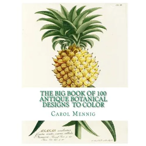 The Big Book of 100 Botanical Designs to Color - Paperback