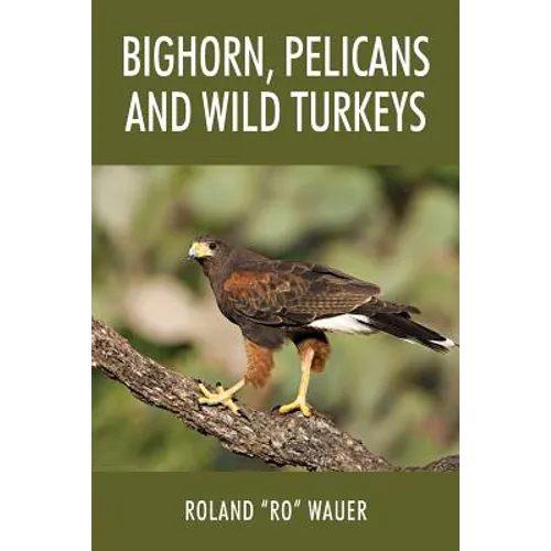 Bighorn, Pelicans and Wild Turkeys - Paperback