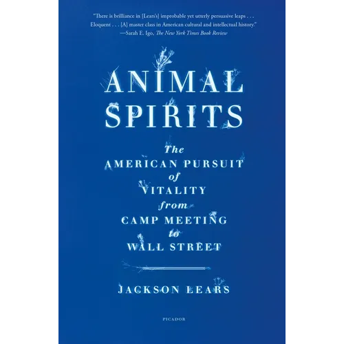 Animal Spirits: The American Pursuit of Vitality from Camp Meeting to Wall Street - Paperback