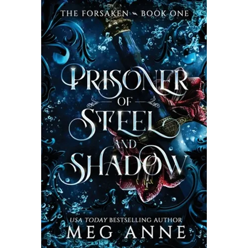 Prisoner of Steel and Shadow - Paperback