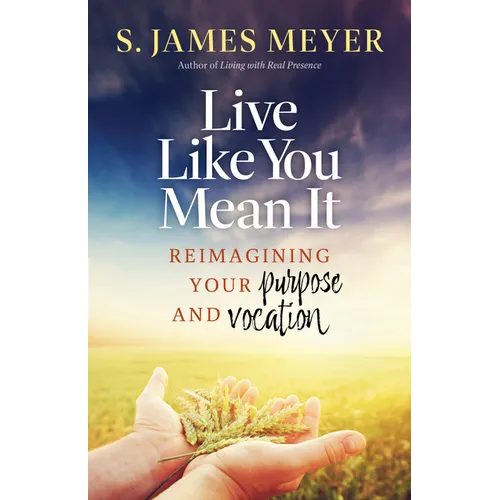 Live Like You Mean It: Reimagining Purpose and Vocation - Paperback