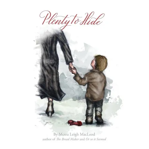 Plenty to Hide - Paperback