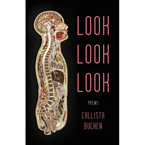 Look Look Look - Paperback