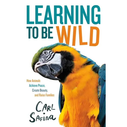 Learning to Be Wild (a Young Reader's Adaptation): How Animals Achieve Peace, Create Beauty, and Raise Families - Hardcover