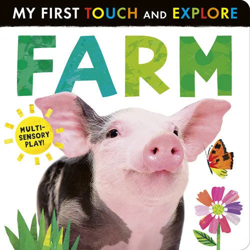 Farm: My First Touch and Explore: Multi-Sensory Play! - Board Book
