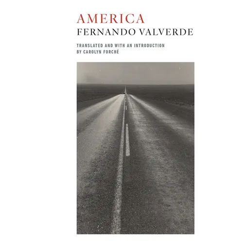 America: Bilingual Edition - Paperback