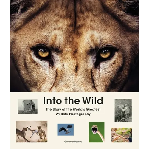 Into the Wild: The Story of the World's Greatest Wildlife Photography - Hardcover