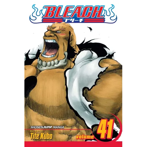 Bleach, Vol. 41: Heart - Paperback