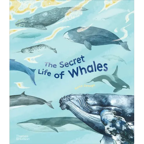 The Secret Life of Whales - Hardcover