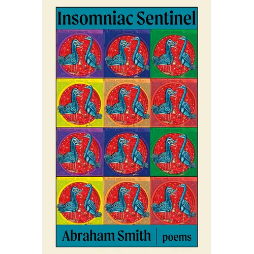 Insomniac Sentinel - Paperback