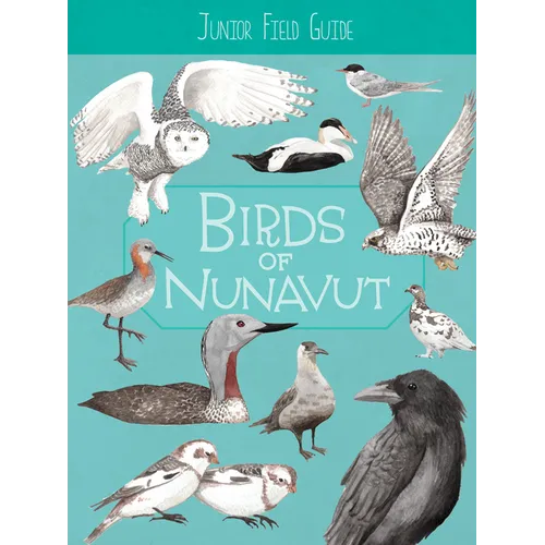 Junior Field Guide: Birds of Nunavut: English Edition - Paperback