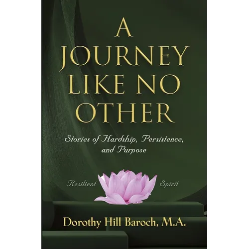 A Journey Like No Other: Stories of Hardship, Persistence and Purpose - Paperback