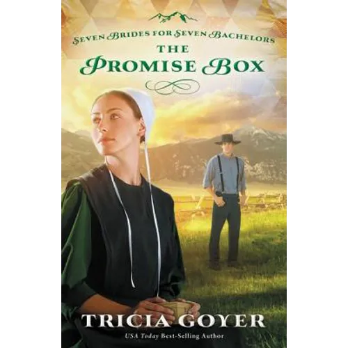 The Promise Box - Paperback