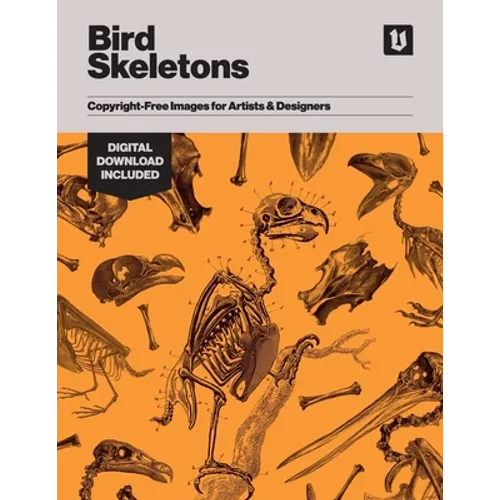 Bird Skeletons: Copyright-Free Images for Artists & Designers - Paperback