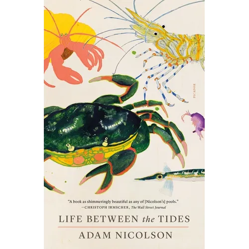 Life Between the Tides - Paperback