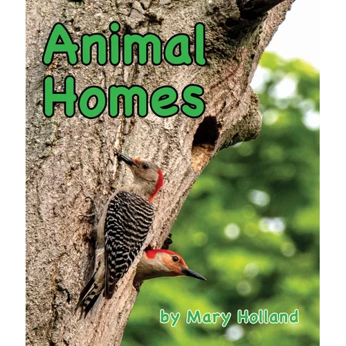 Animal Homes - Paperback