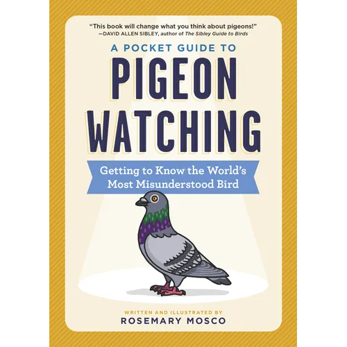 A Pocket Guide to Pigeon Watching: Getting to Know the World's Most Misunderstood Bird - Paperback