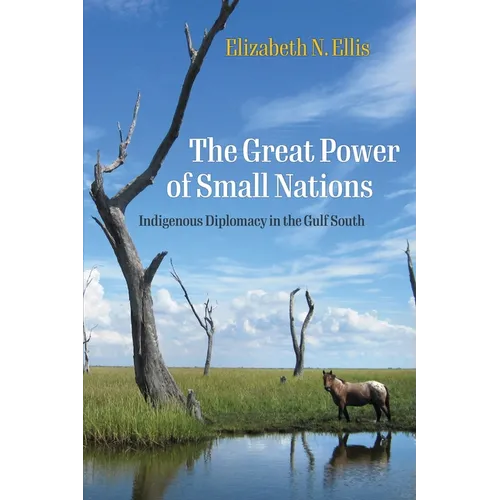 The Great Power of Small Nations: Indigenous Diplomacy in the Gulf South - Paperback