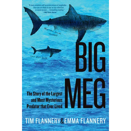 Big Meg: The Story of the Largest and Most Mysterious Predator That Ever Lived - Hardcover