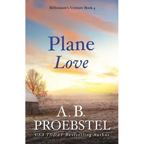 Plane Love: A Christian Romance - Paperback