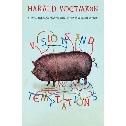 Visions and Temptations - Paperback