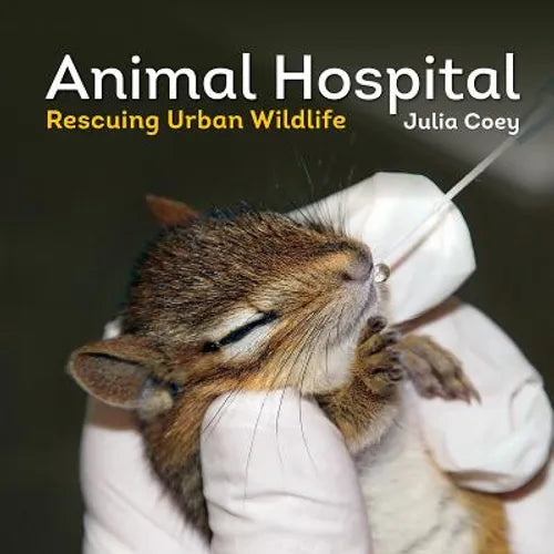 Animal Hospital: Rescuing Urban Wildlife - Hardcover