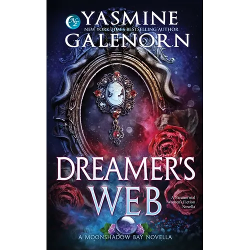 Dreamer's Web: A Paranormal Women's Fiction Novella - Paperback
