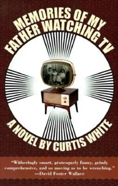 Memories of My Father Watching TV - Paperback