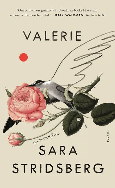 Valerie: Or, the Faculty of Dreams: A Novel - Paperback