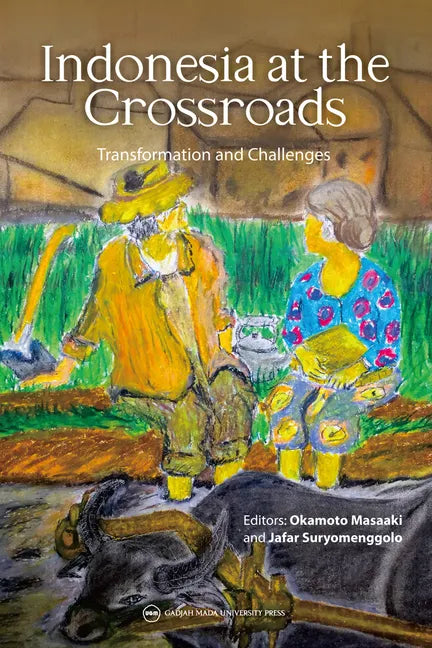 Indonesia at the Crossroads: Transformation and Challenges - Paperback