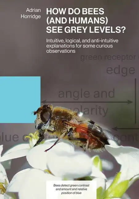 How Do Bees (and Humans) See Grey Levels?: Intuitive, logical, and anti-intuitive explanations for some curious observations - Paperback