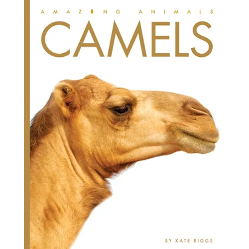 Camels - Paperback