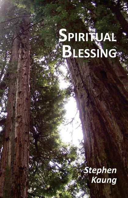 Spiritual Blessing - Paperback