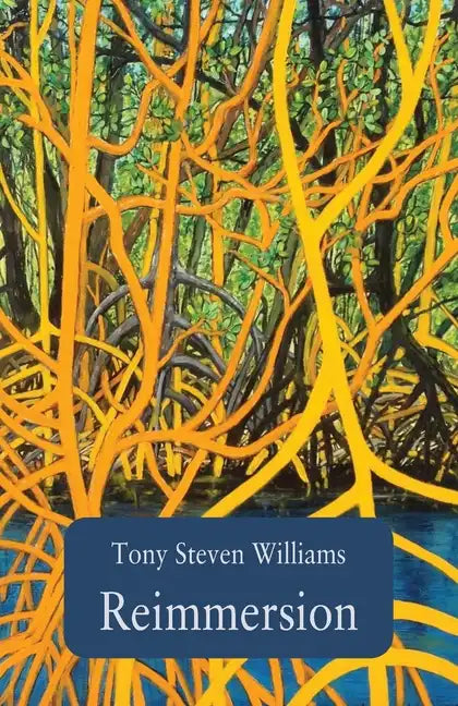 Reimmersion - Paperback
