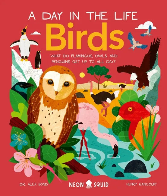 Birds (a Day in the Life): What Do Flamingos, Owls, and Penguins Get Up to All Day? - Hardcover