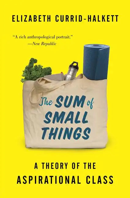 The Sum of Small Things: A Theory of the Aspirational Class - Paperback