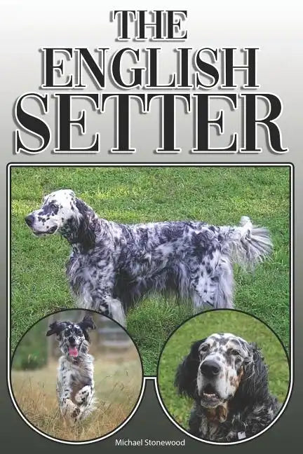 The English Setter: A Complete and Comprehensive Owners Guide To: Buying, Owning, Health, Grooming, Training, Obedience, Understanding and - Paperback