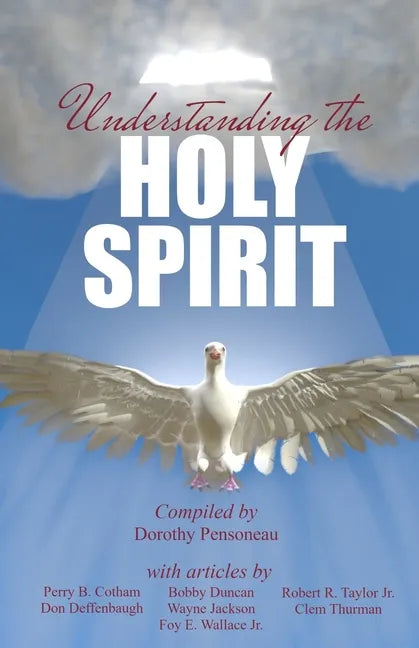 Understanding the Holy Spirit - Paperback