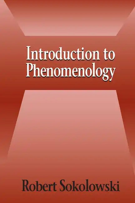 Introduction to Phenomenology - Paperback