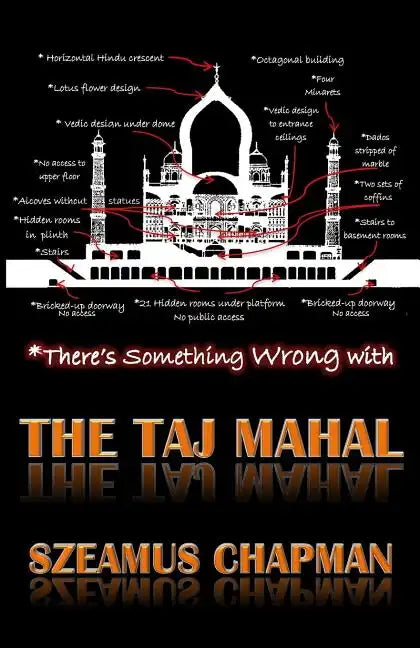 There's Something Wrong With The Taj Mahal - Paperback