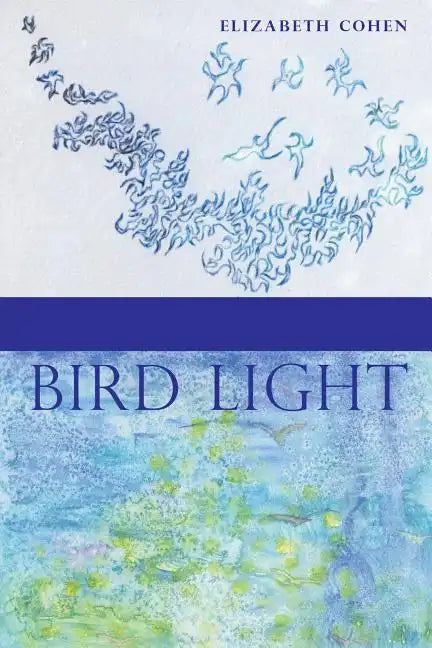 Bird Light - Paperback